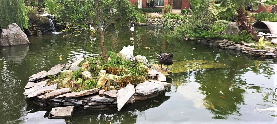 اجاره ویلا در روستا کوبیجار لاهیجان - دوخواب