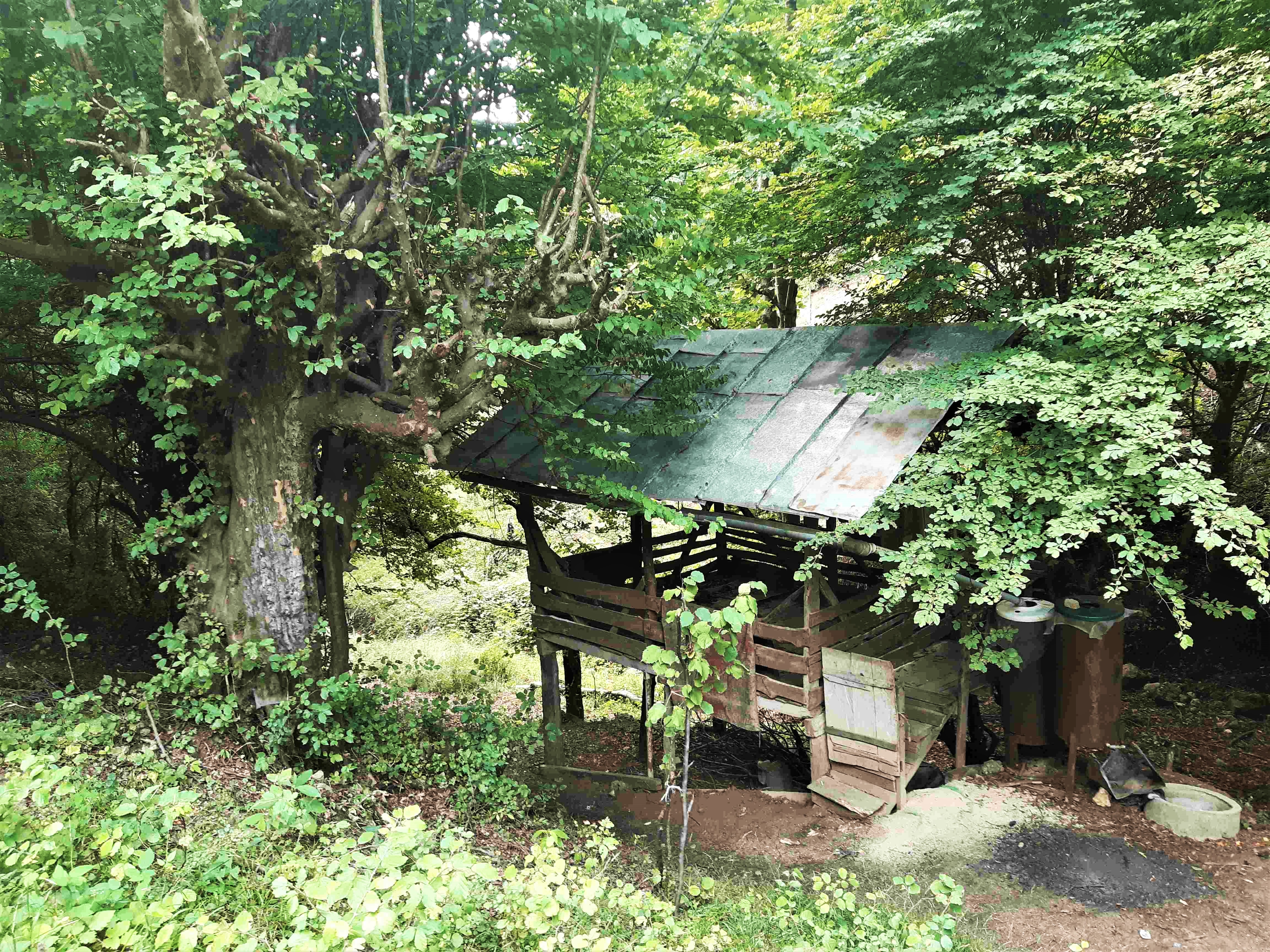 اجاره ویلا مبله در محمود آباد بهشهر