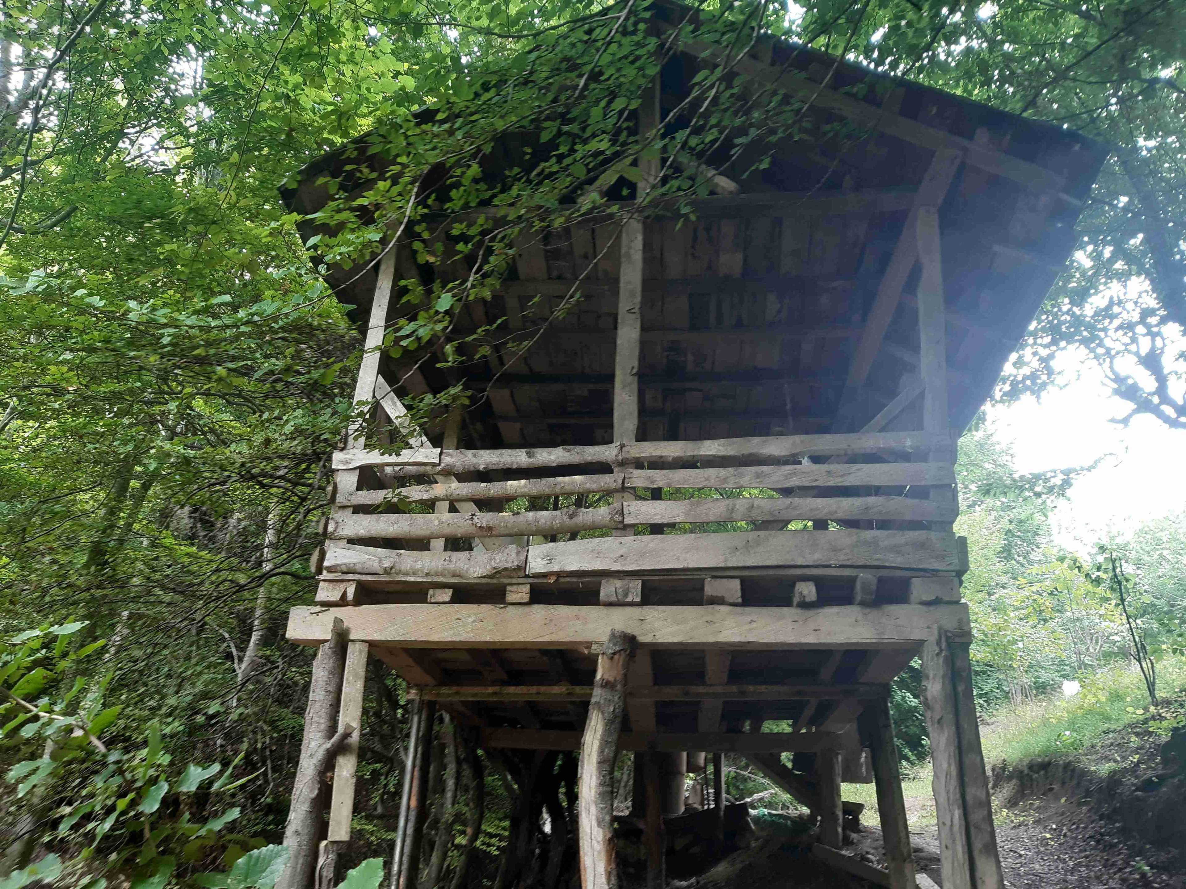 اجاره ویلا مبله در محمود آباد بهشهر