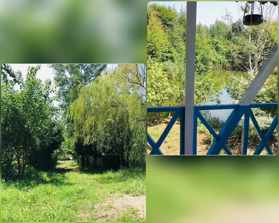 اجاره کلبه جنگلی مبله در کچا رشت - کوه