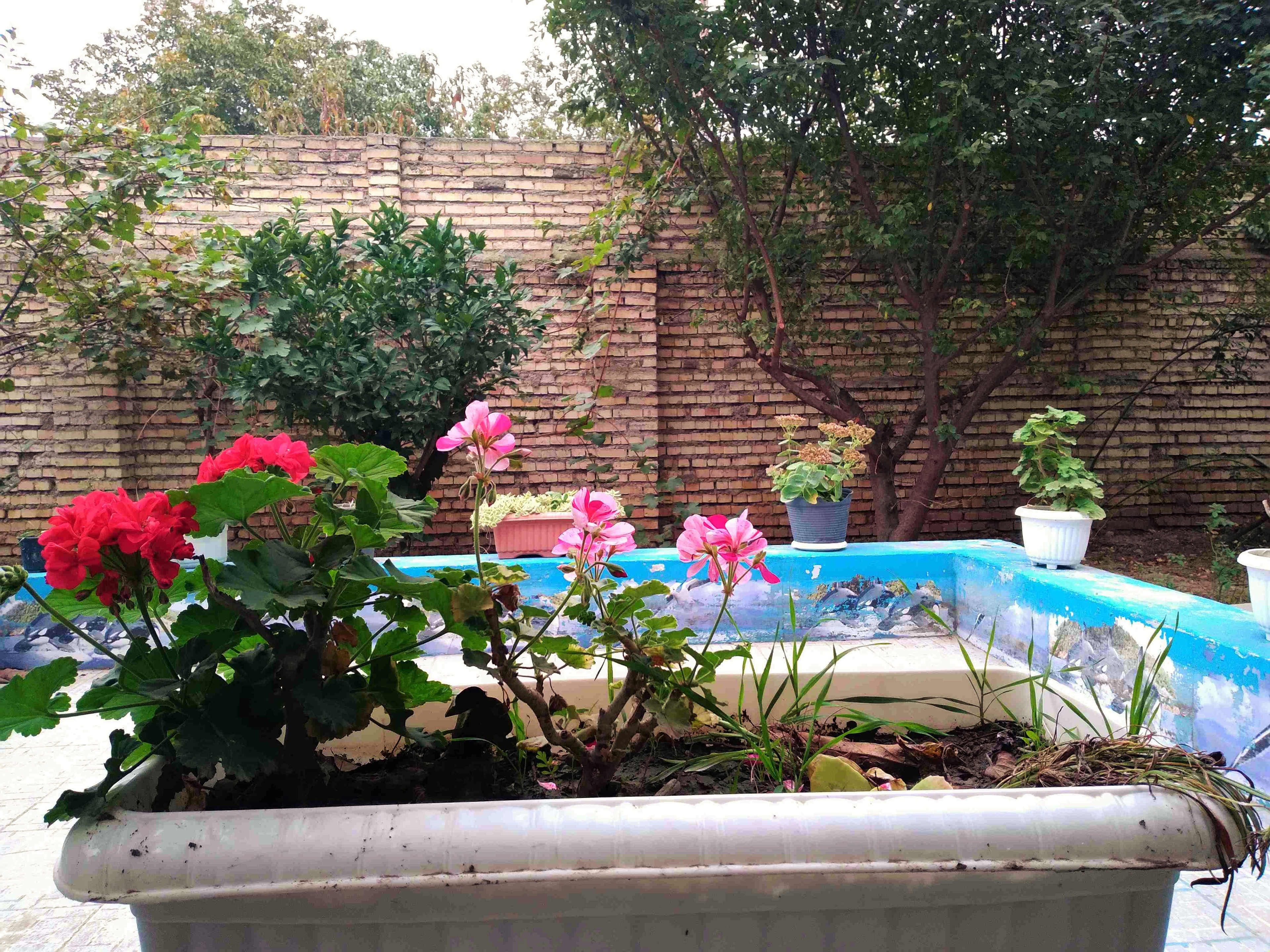 اجاره منزل مبله  یک خوابه در کردآباد علی آباد کتول - همکف