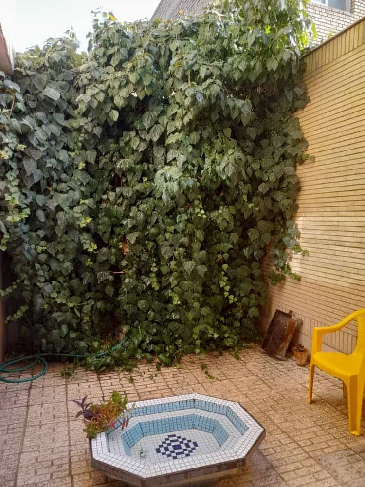 اجاره منزل مبله در خیابان شیخ بهایی اصفهان