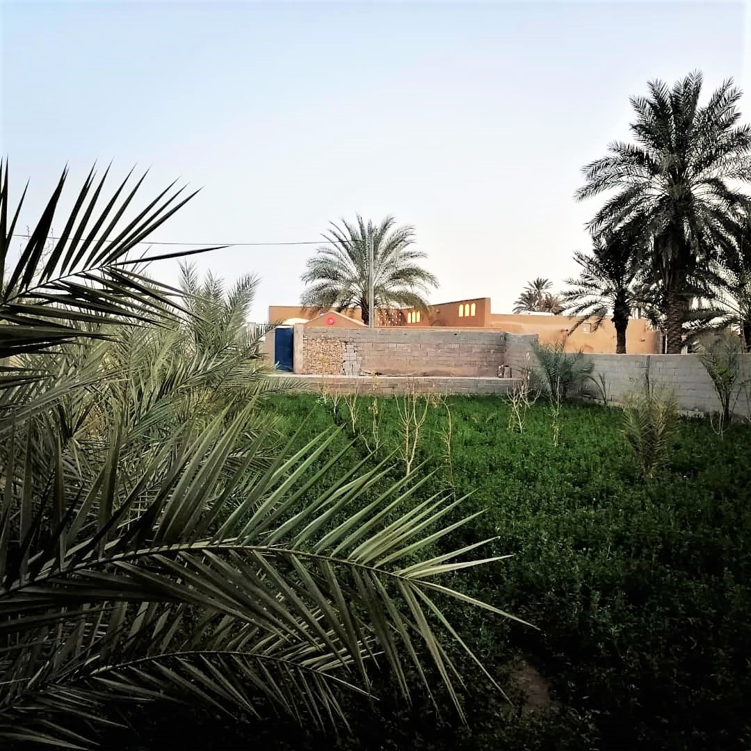 اجاره اتاق سنتی در دشتقران طبس - 20