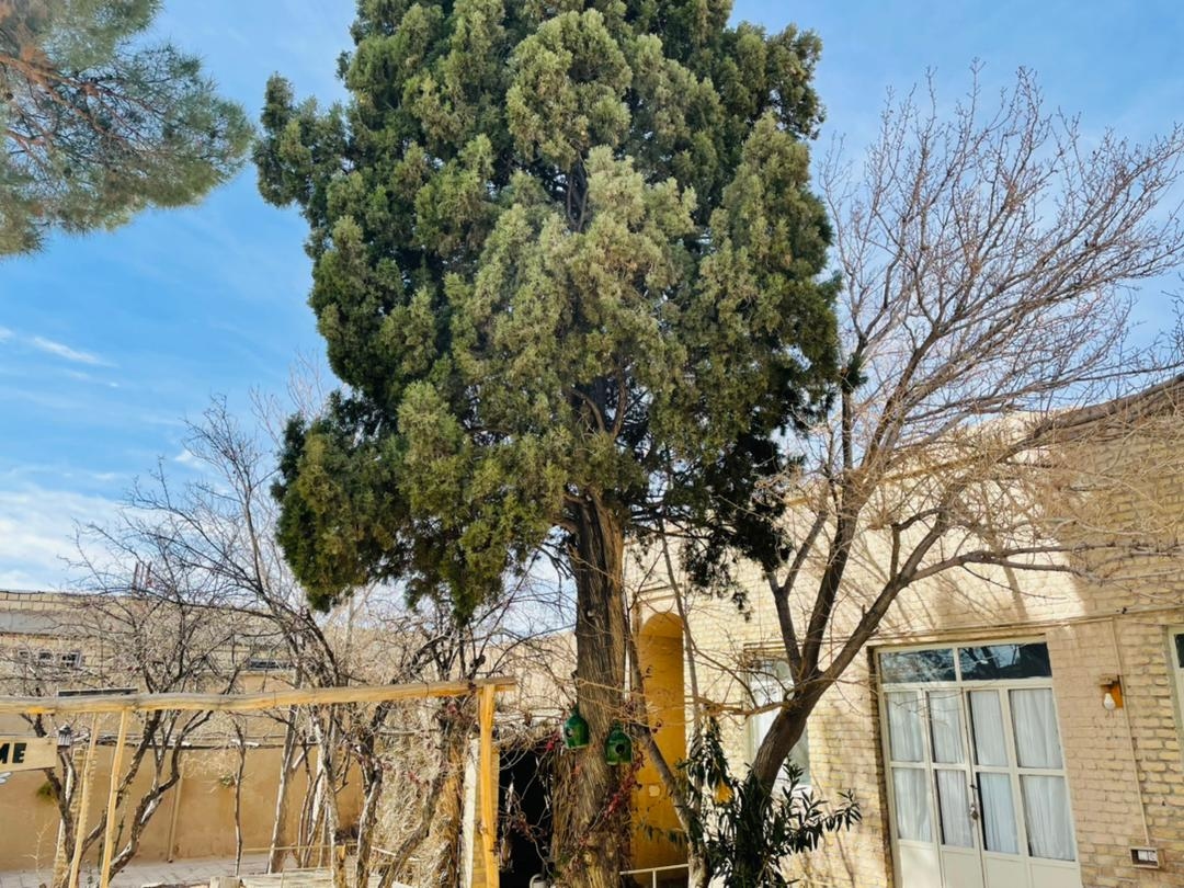 اجاره اقامتگاه بومگردی در شهربابک کرمان - ناردون