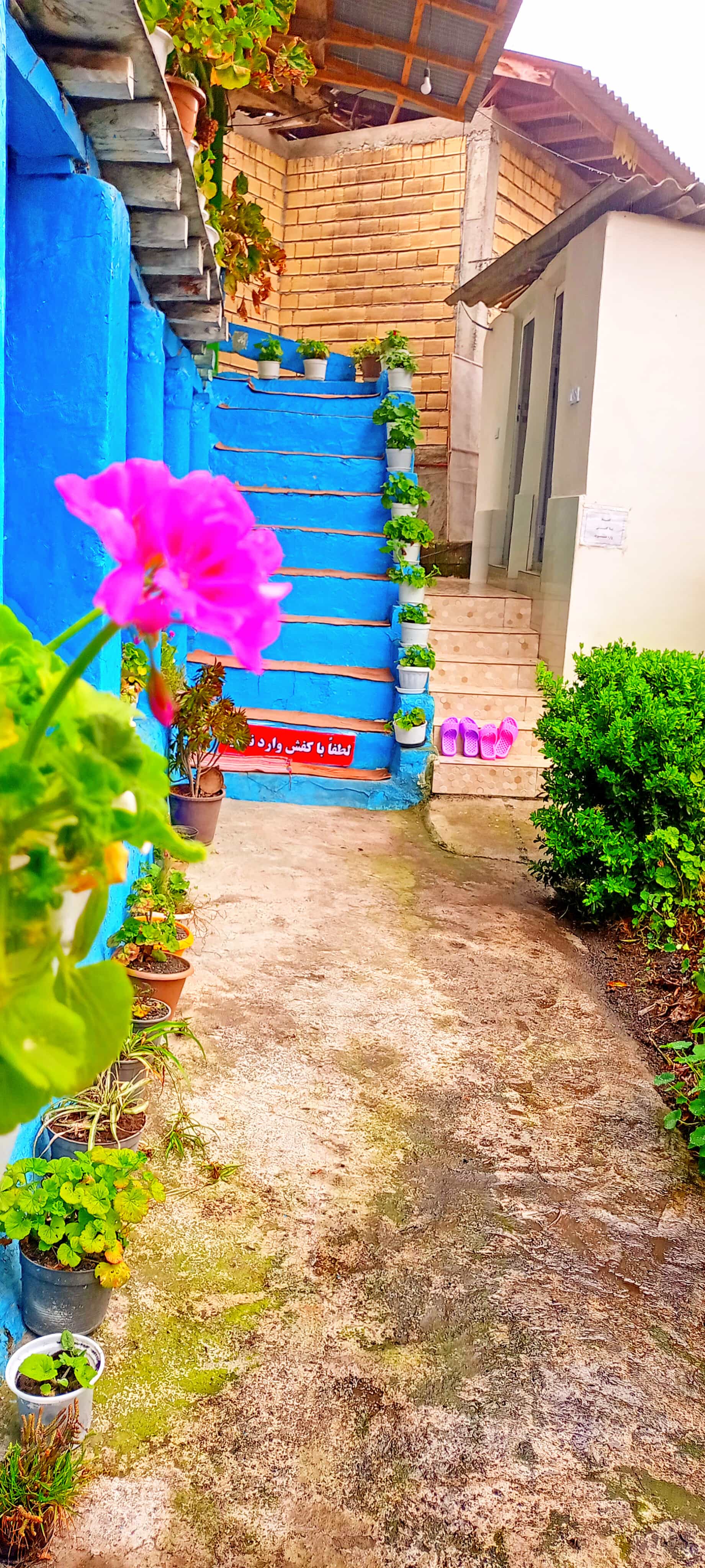 اجاره اقامتگاه سنتی  دوبلکس جنگلی در چوبر - گیلان