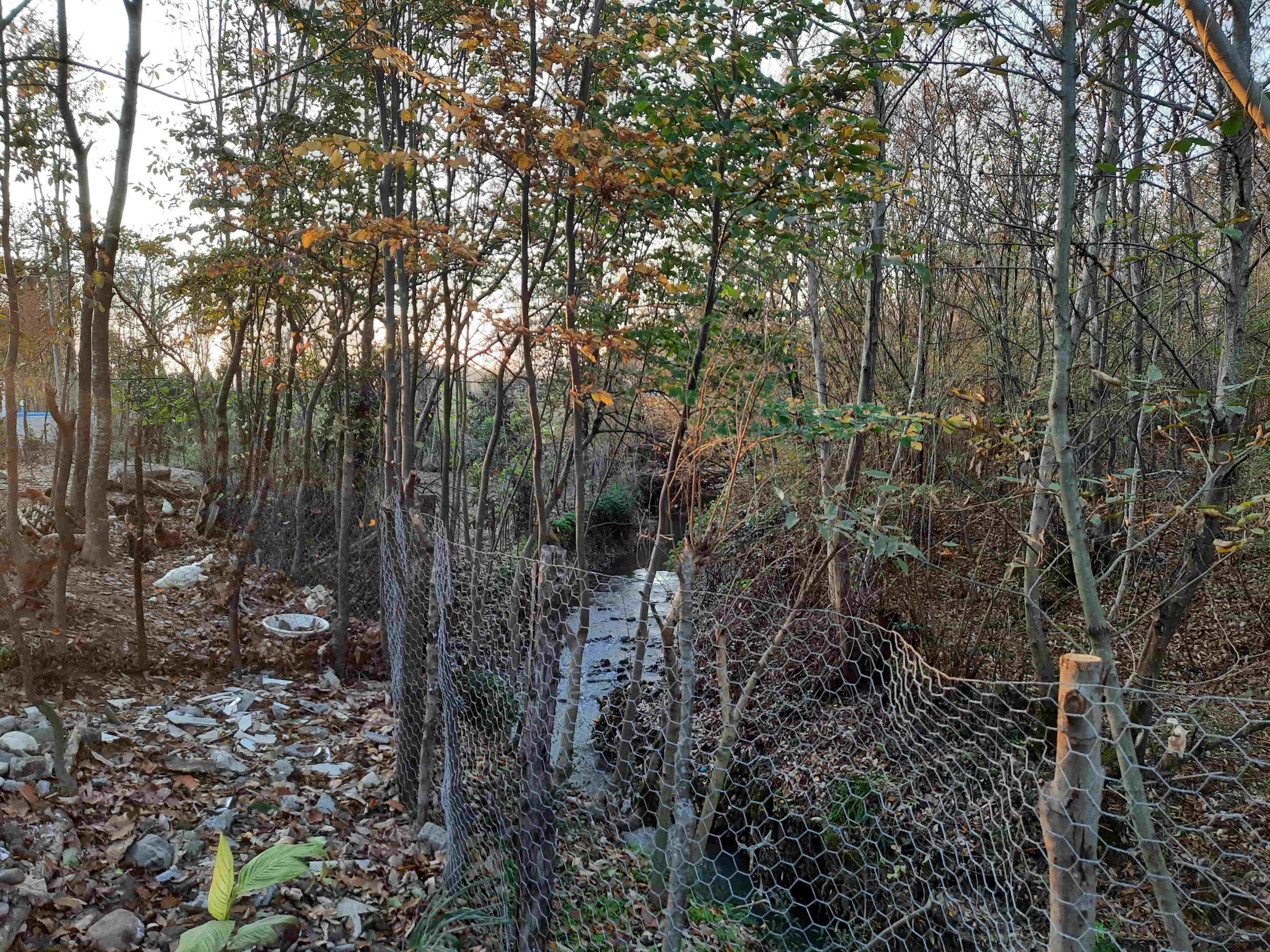 اجاره سوئیت سنتیکنار رودخانه در روستای ازبرم سیاهکل