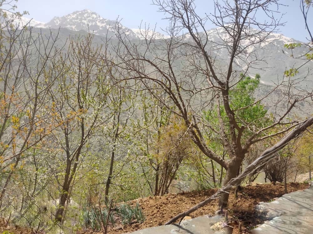 اجاره آپارتمان دو خوابه 100 متری در پیرشالیار اورامان تخت-طبقه اول