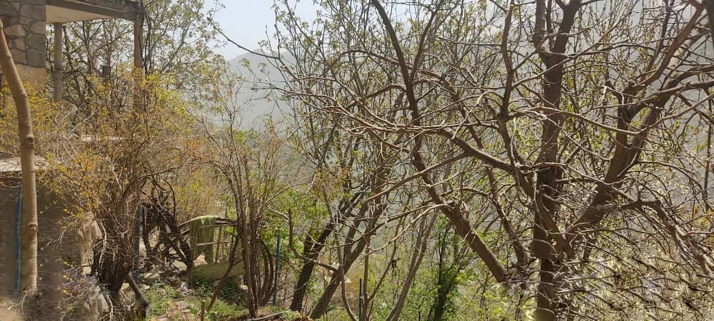 اجاره آپارتمان دو خوابه 100 متری در پیرشالیار اورامان تخت-طبقه اول