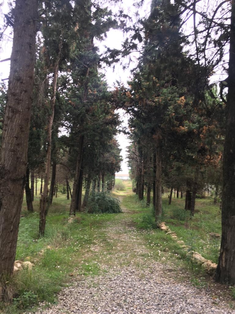 اجاره ویلا ساحلی با استخرسرپوشیده در رامسر