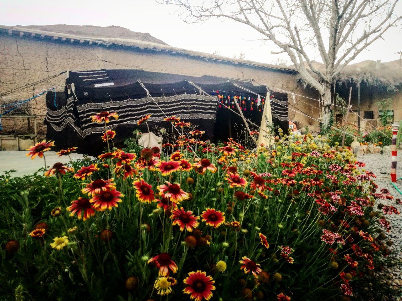 اجاره اتاق در جعفرآباد بوانات - پردیس