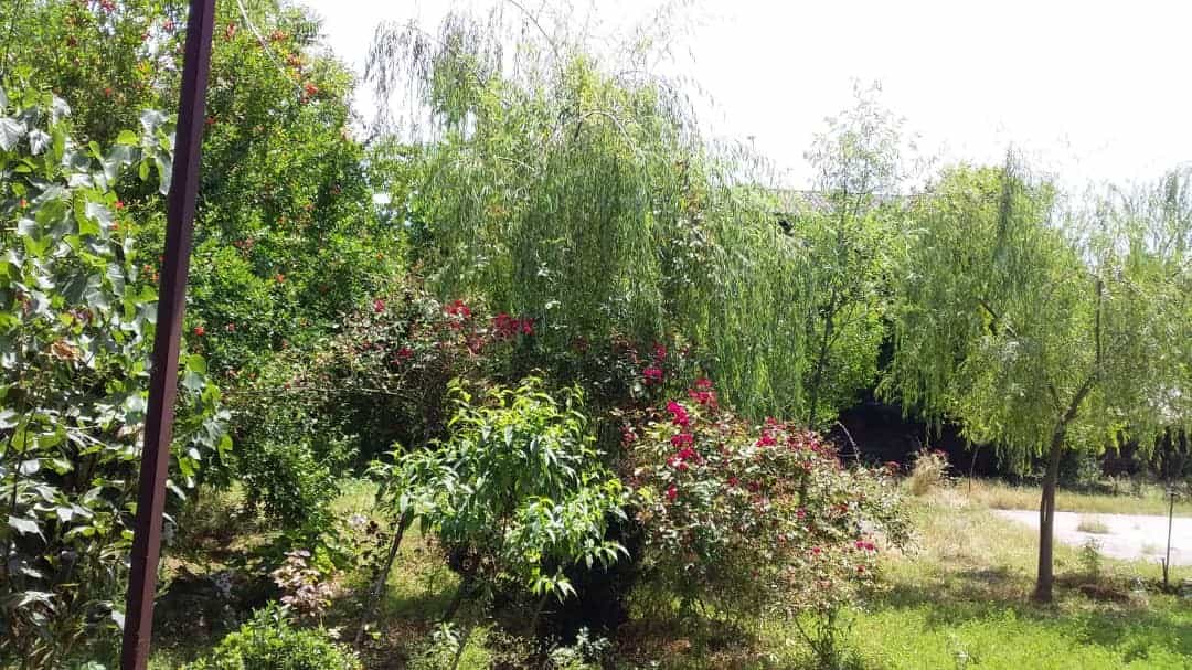 اجاره ویلا نزدیک ساحل در خیابان 22 بهمن رضوانشهر