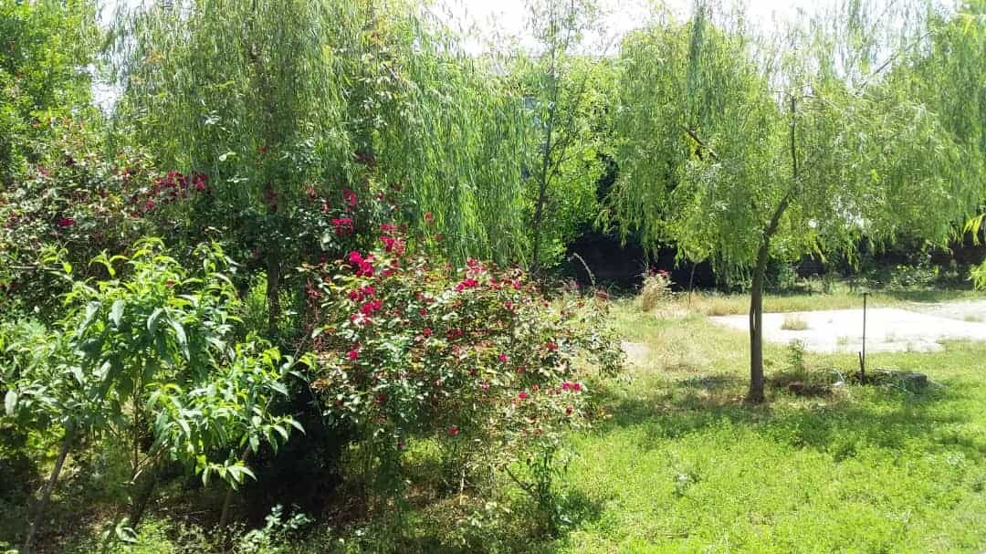 اجاره ویلا نزدیک ساحل در خیابان 22 بهمن رضوانشهر