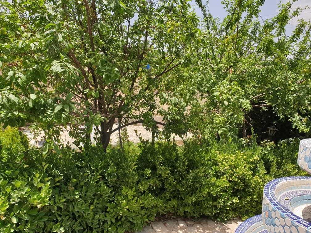 اجاره ویلا در خیابان دولت آباد نیاسر