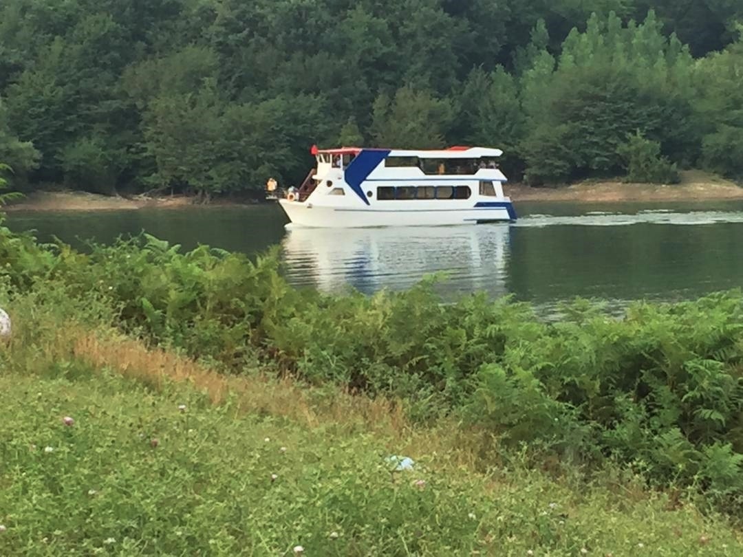 اجاره کلبه سوئیسی  در برنجستانک - پنج تخته