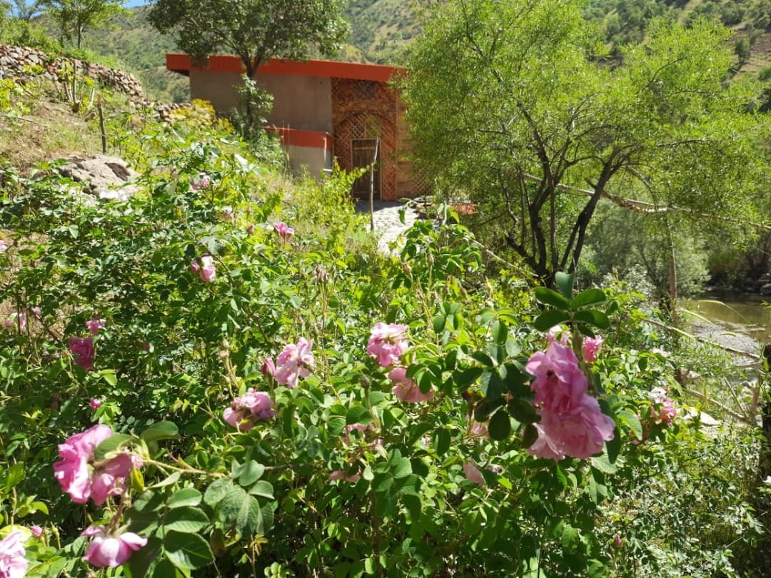 اجاره کلبه چوبی کوهستانی در مریوان