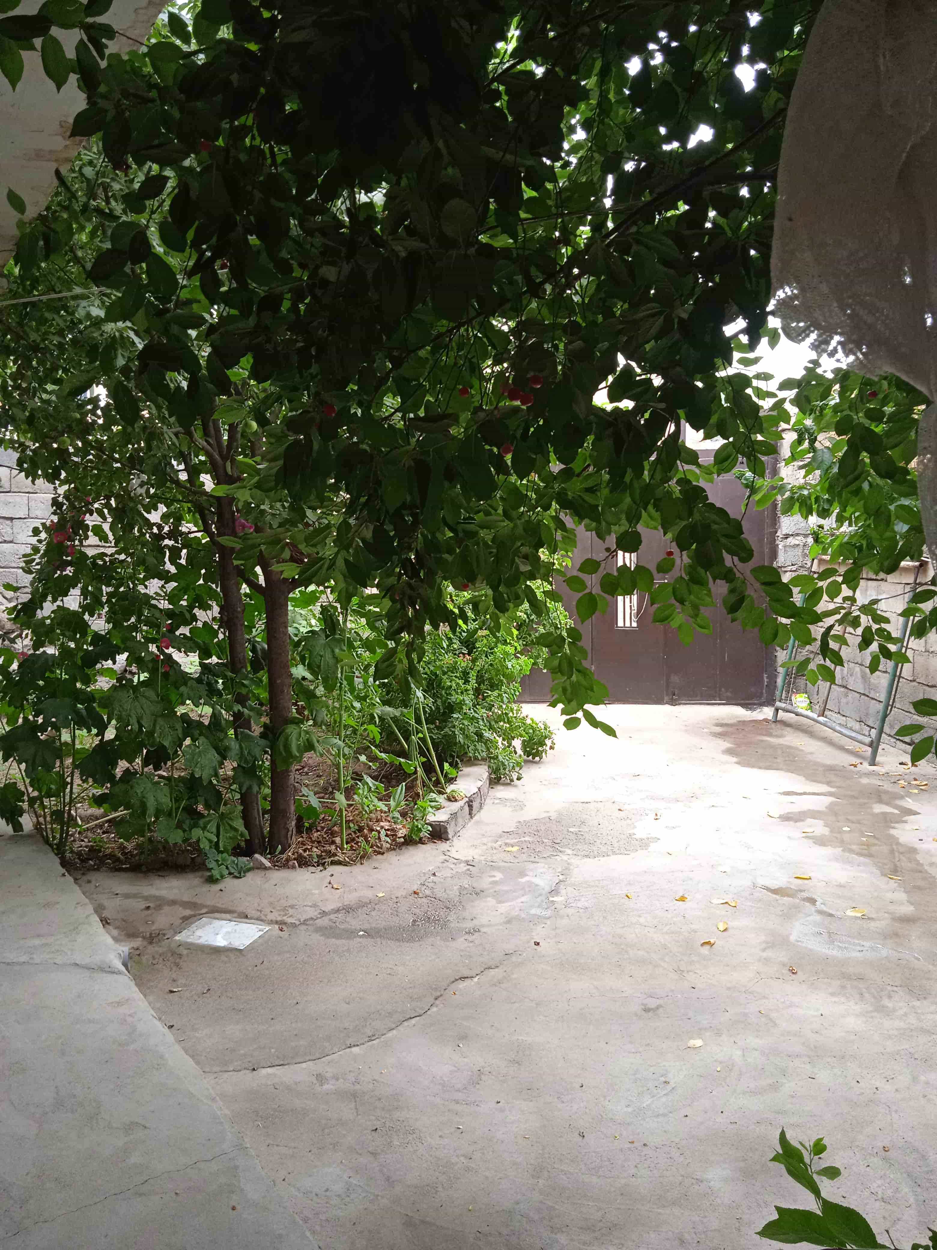 اجاره خانه در روستای موئیل مشگین شهر