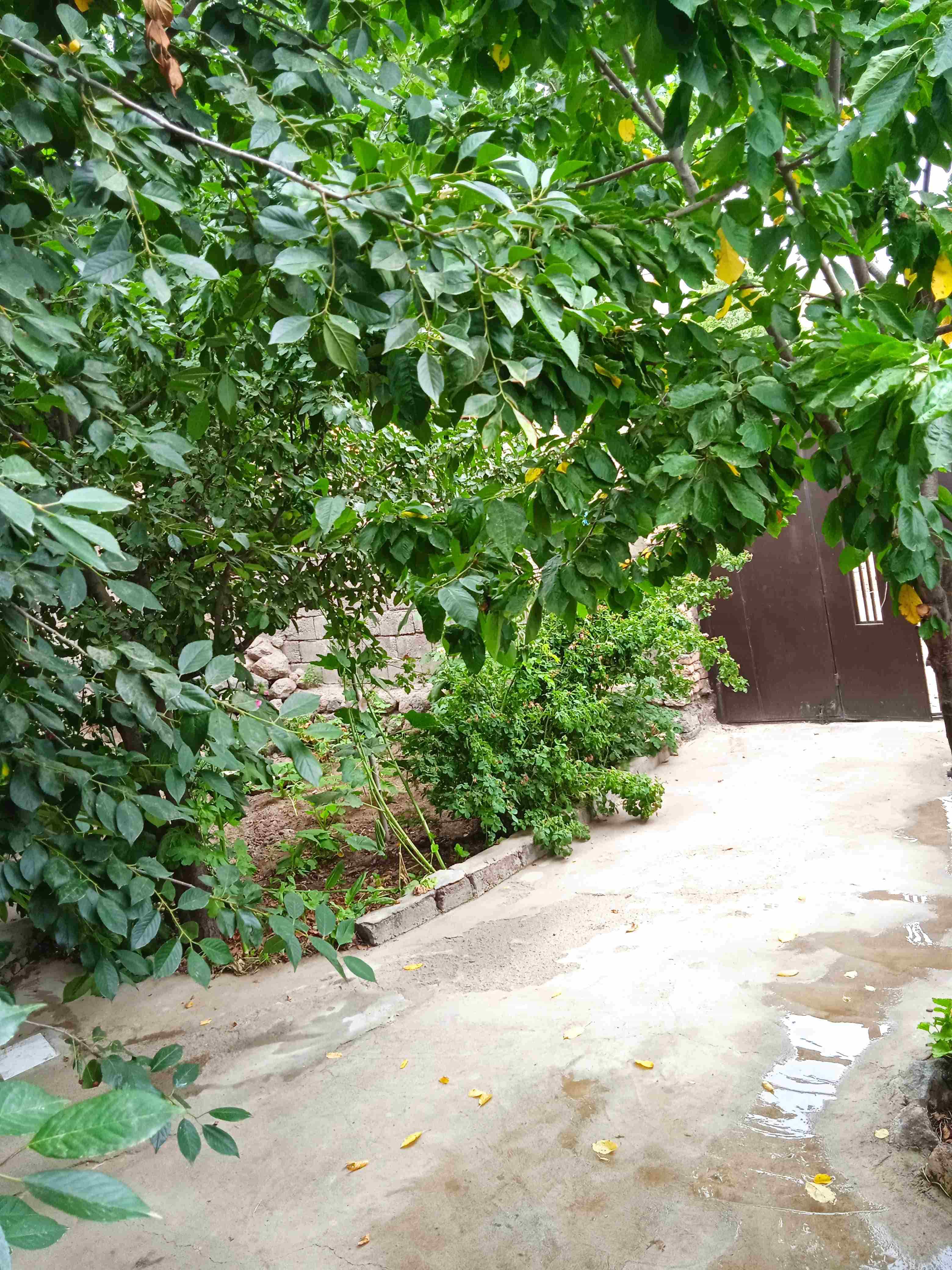 اجاره خانه در روستای موئیل مشگین شهر