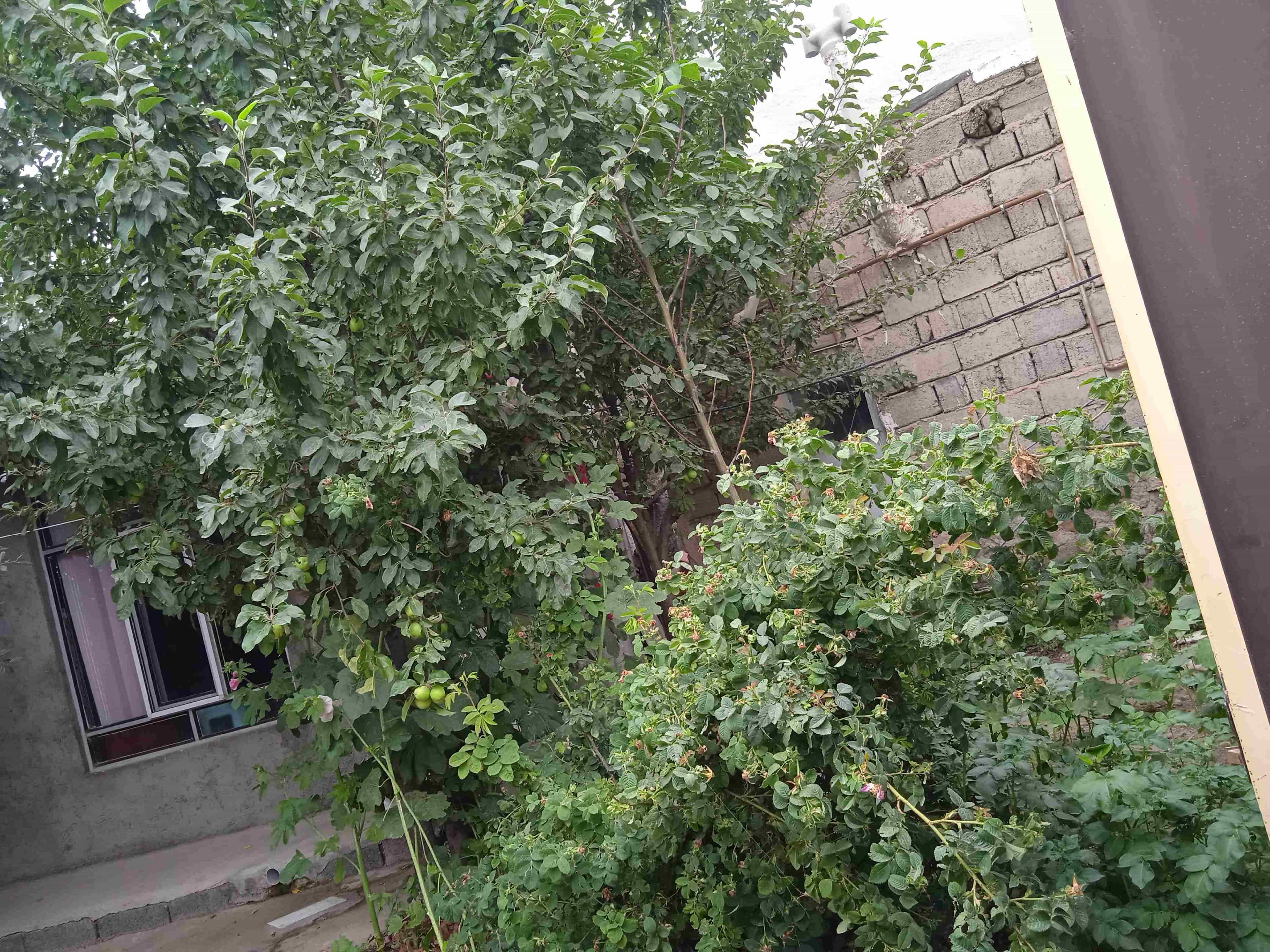 اجاره خانه در روستای موئیل مشگین شهر