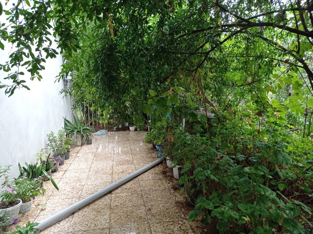 اجاره ویلا باغ در روستای طولارود تالش