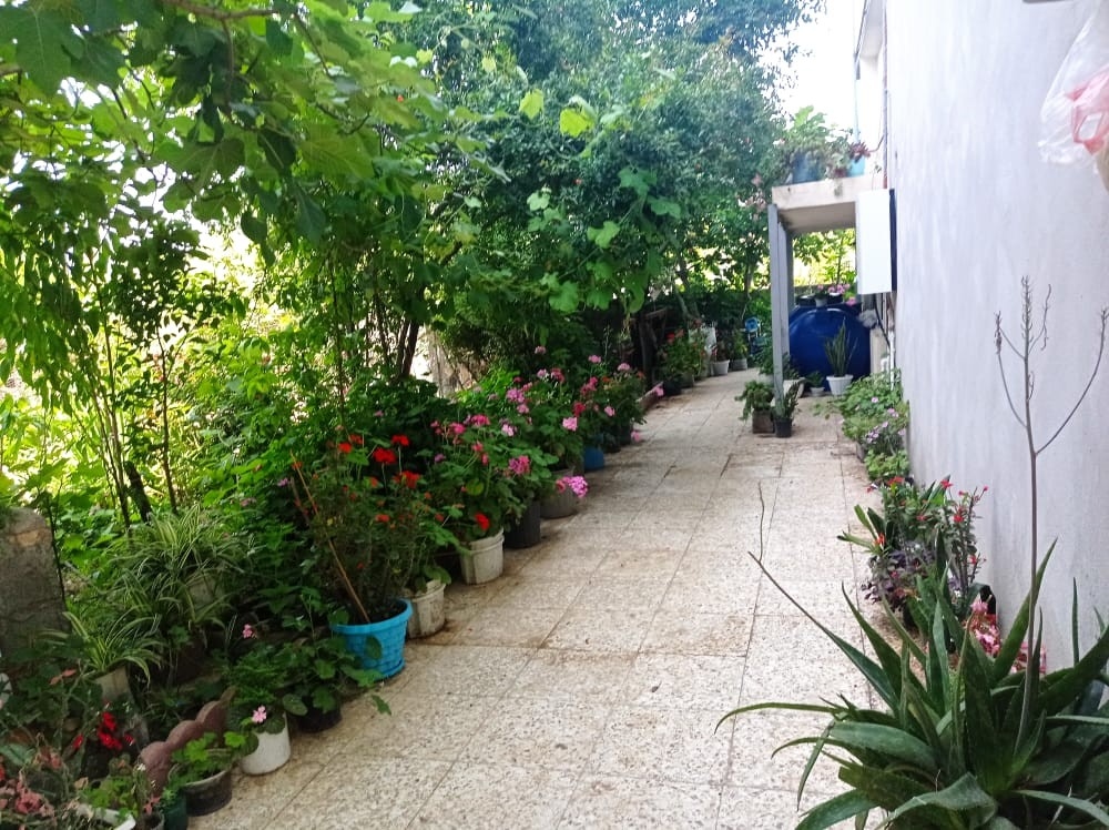 ویلا باغ در روستای طولارود تالش