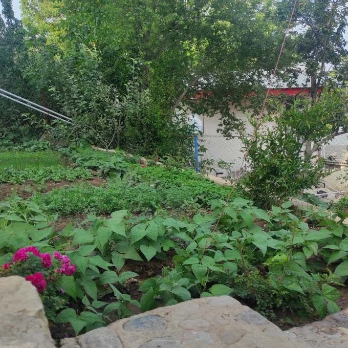 اجاره ویلا کوهستانی یک خوابه در روستا افرا -طبقه دوم