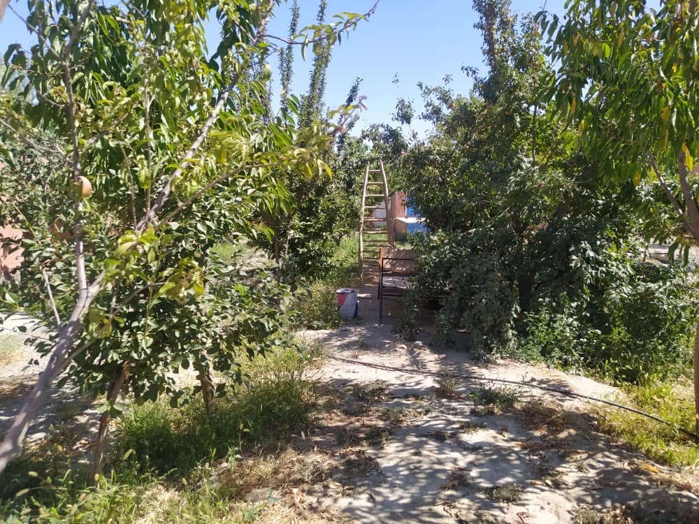 بوم گردی سنتی در روستای حاجی آباد چناران - 18متر