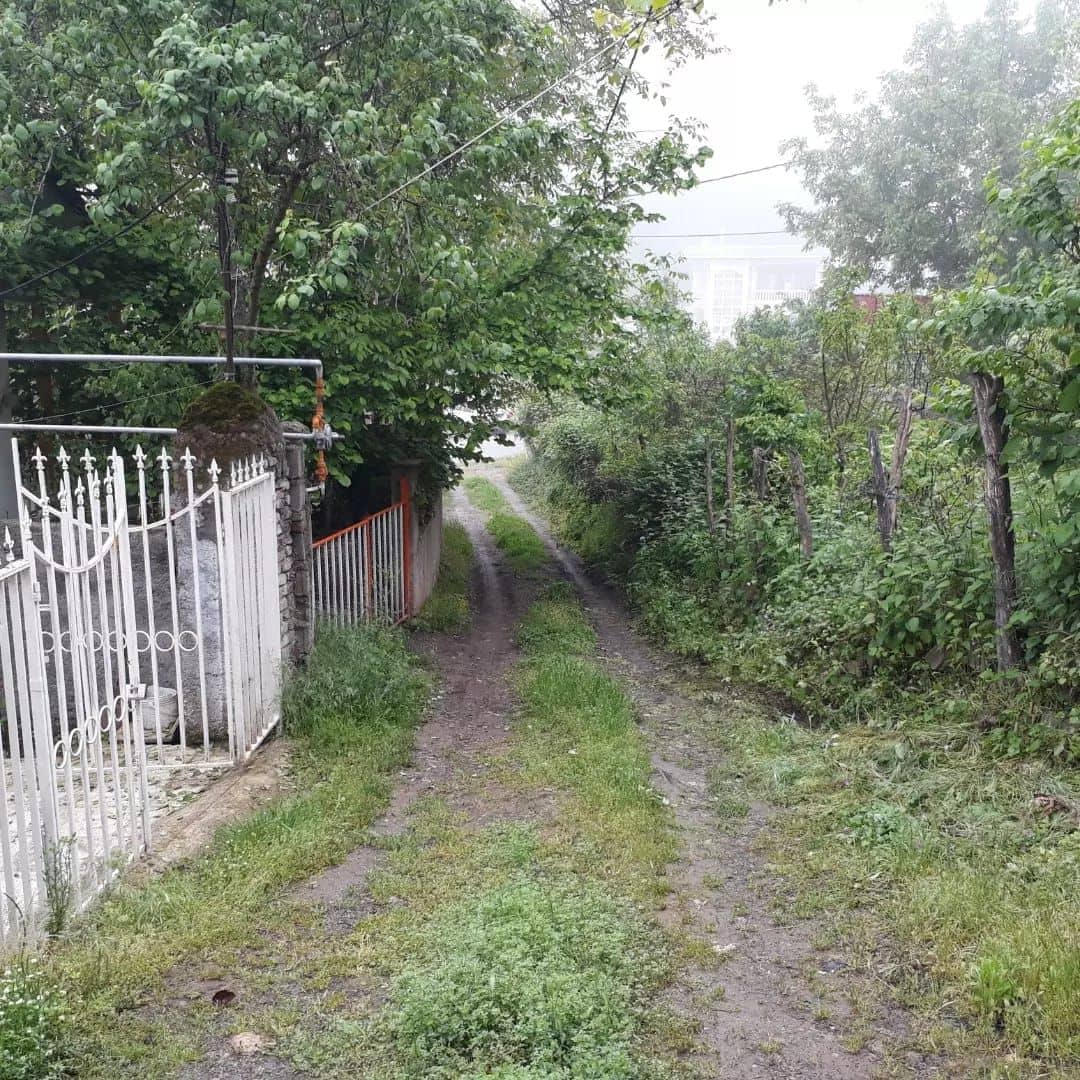 اجاره ویلا جنگلی یک خوابه در روستا خولین دره علی آبادکتول