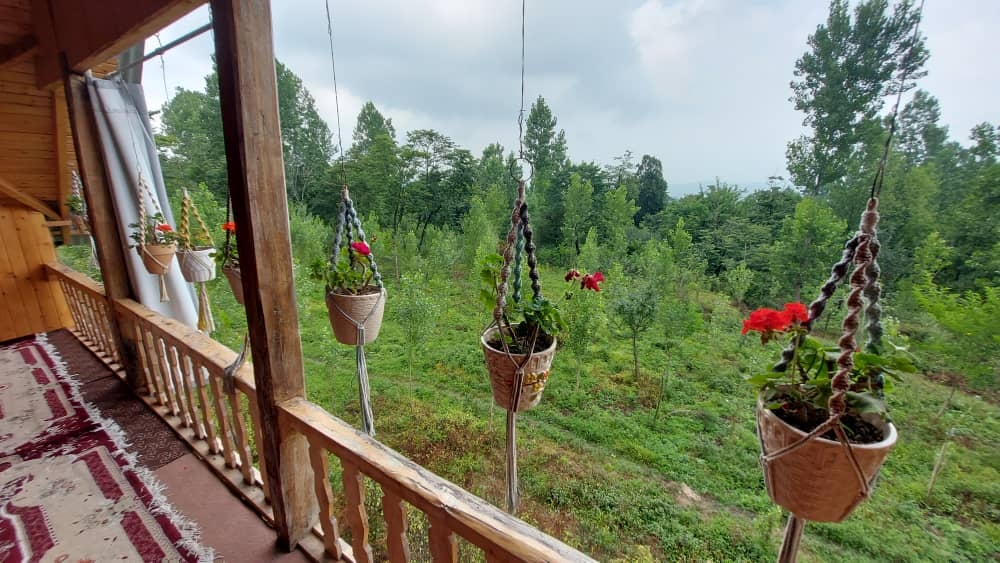 اجاره کلبه چوبی در روستا کار در کلا شیرگاه - 100 متری