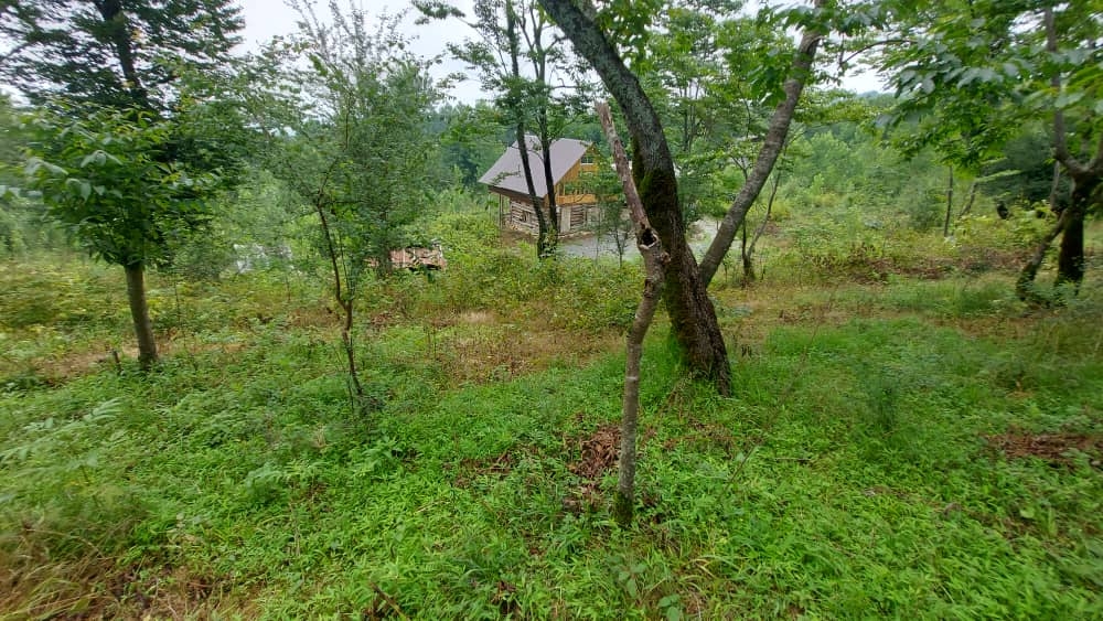 اجاره کلبه چوبی در روستا کار در کلا شیرگاه - 100 متری