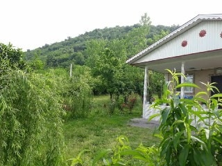 اجاره باغ و ویلا در وشمه سرای ماسال