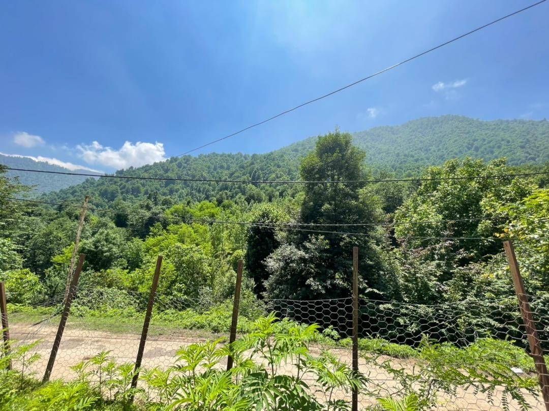 رزرو کلبه چوبی جنگلی در روستای دیگا ماسال