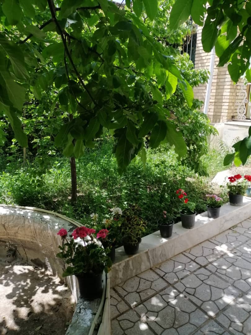 اجاره منزل ویلایی در ولیعصر شهمیرزاد