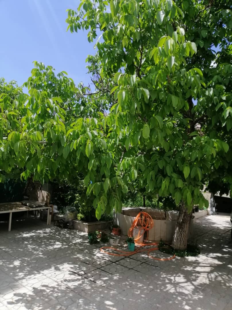 اجاره منزل ویلایی در ولیعصر شهمیرزاد