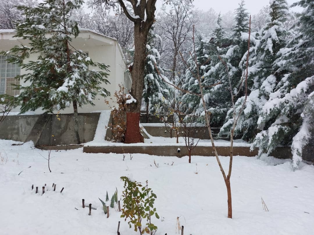 اجاره ویلا در پریکدان یاسوج