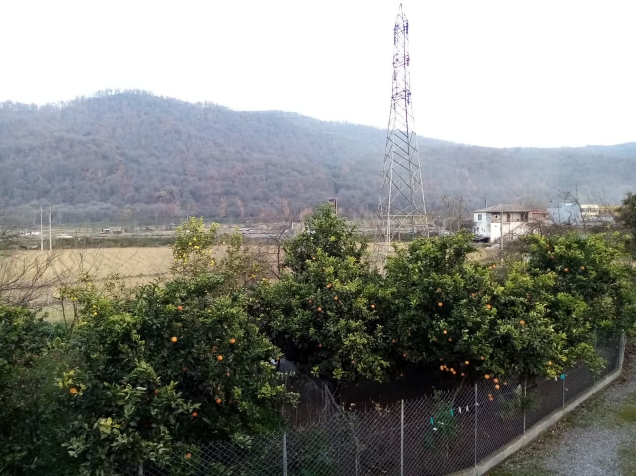 اجاره ویلا جنگلی در رزکه آمل