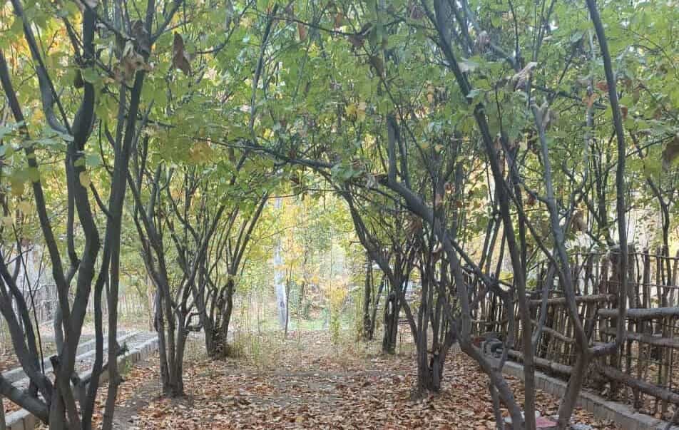 اجاره بومگردی در روستا زرد خشوئیه باغبهادران - اتاق دو