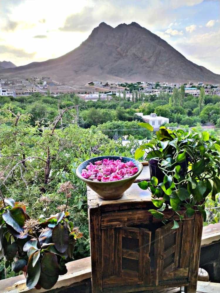 اجاره بومگردی سنتی در برزک - وی آی پی