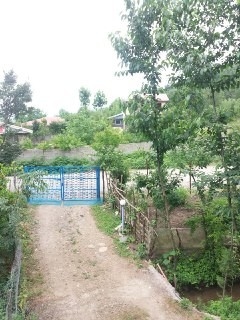 اجاره ویلا جنگلی در اولم ماسال