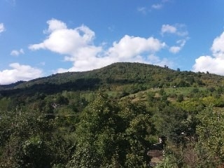 اجاره ویلا جنگلی در اولم ماسال