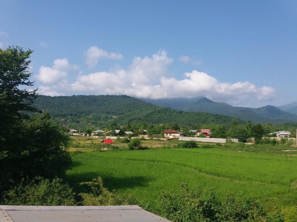 اجاره خانه مبله ویلایی شیک در ماسال - تیام