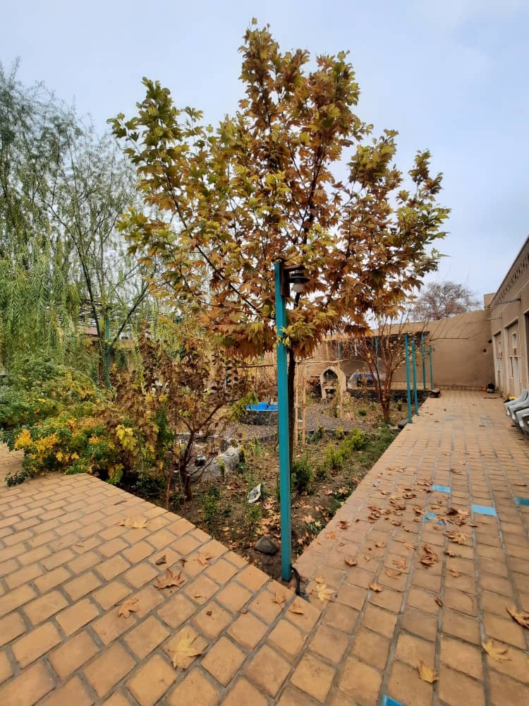 اجاره اتاق سنتی سه تخته در نطنز اصفهان - سه دری