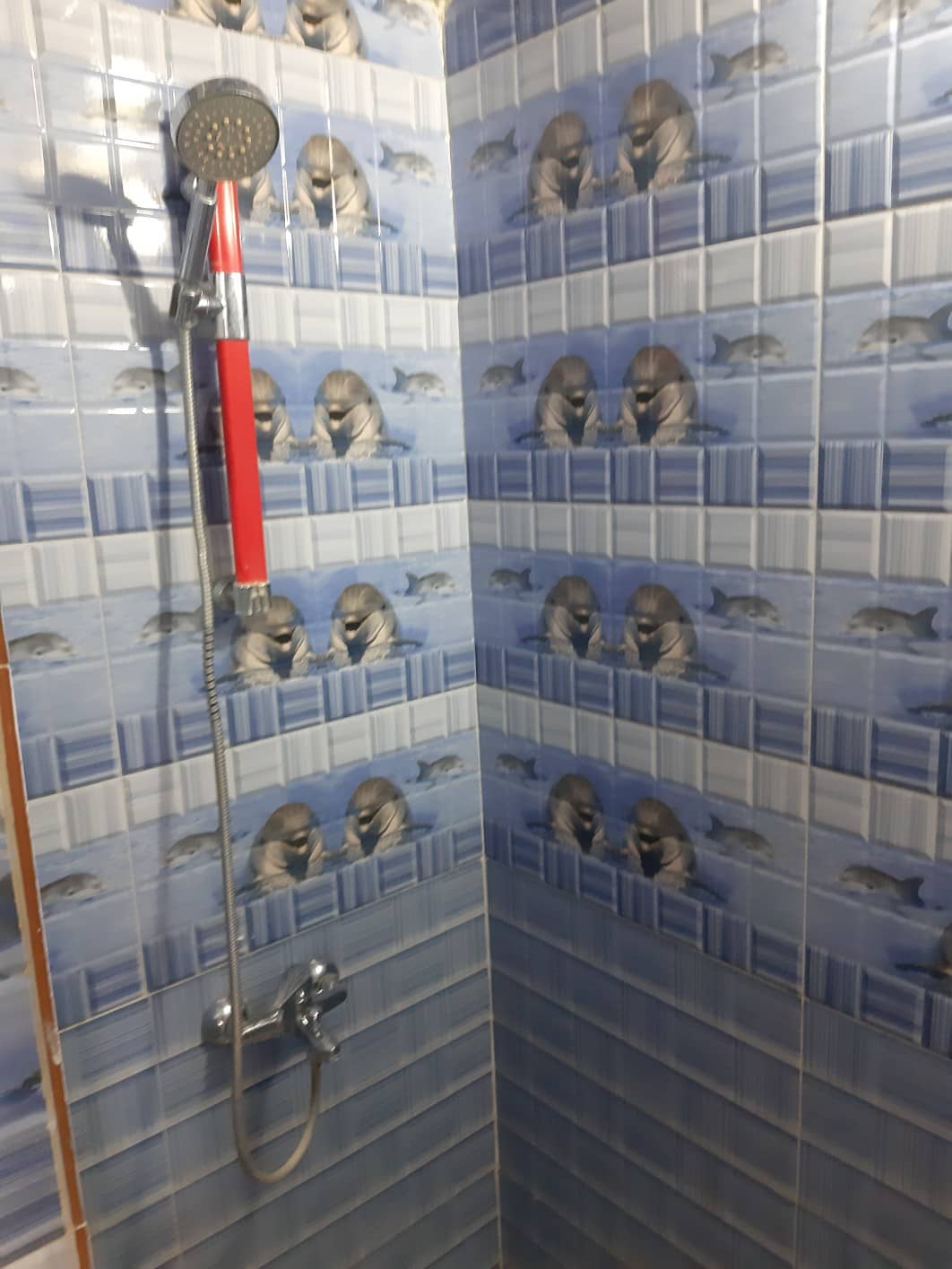 اجاره آپارتمان مبله در سیبویه شیراز - 2