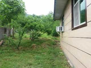 اجاره ویلاشیک جنگلی درماسال