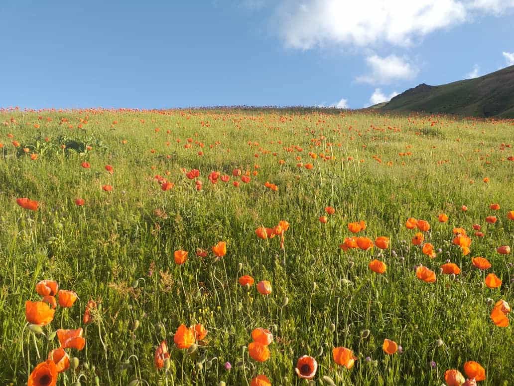 اجاره سوئیت کوهستانی ییلاقی در سوباتان - آبشار ورزان