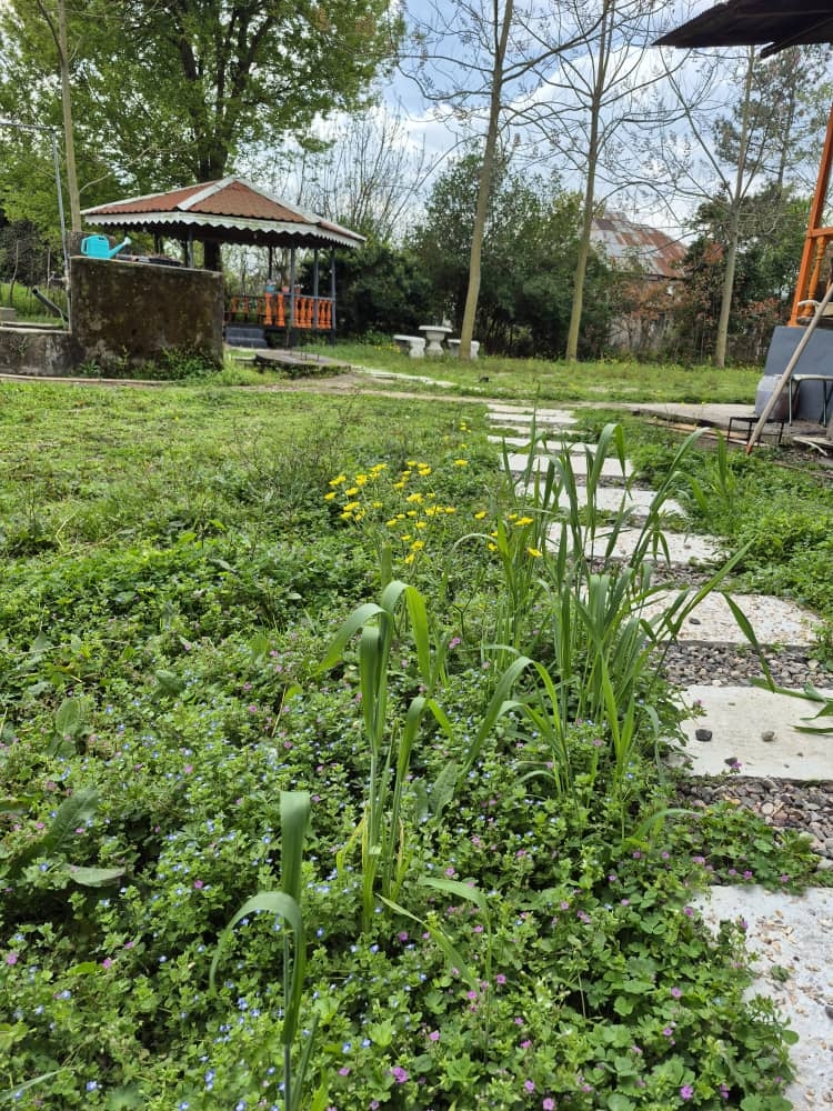 اجاره خانه سنتی شیک درفومن