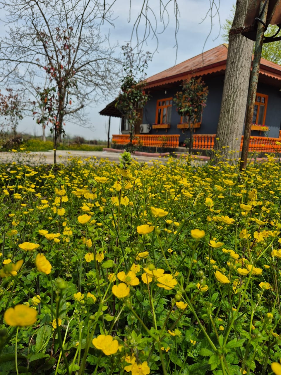 اجاره خانه سنتی شیک درفومن