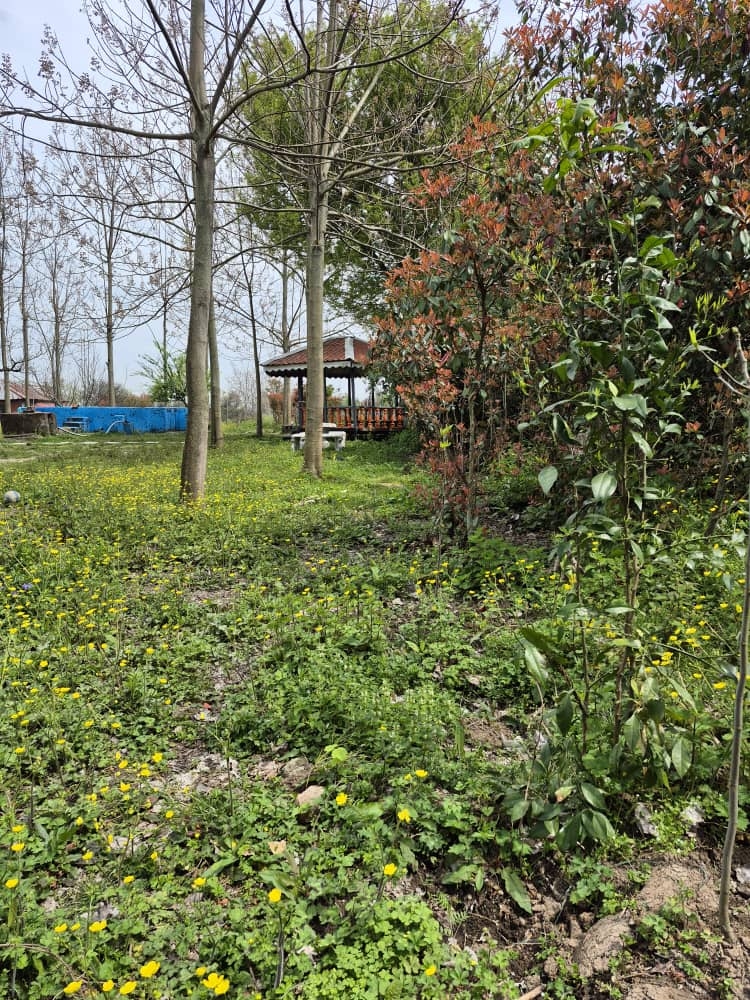 اجاره خانه سنتی شیک درفومن