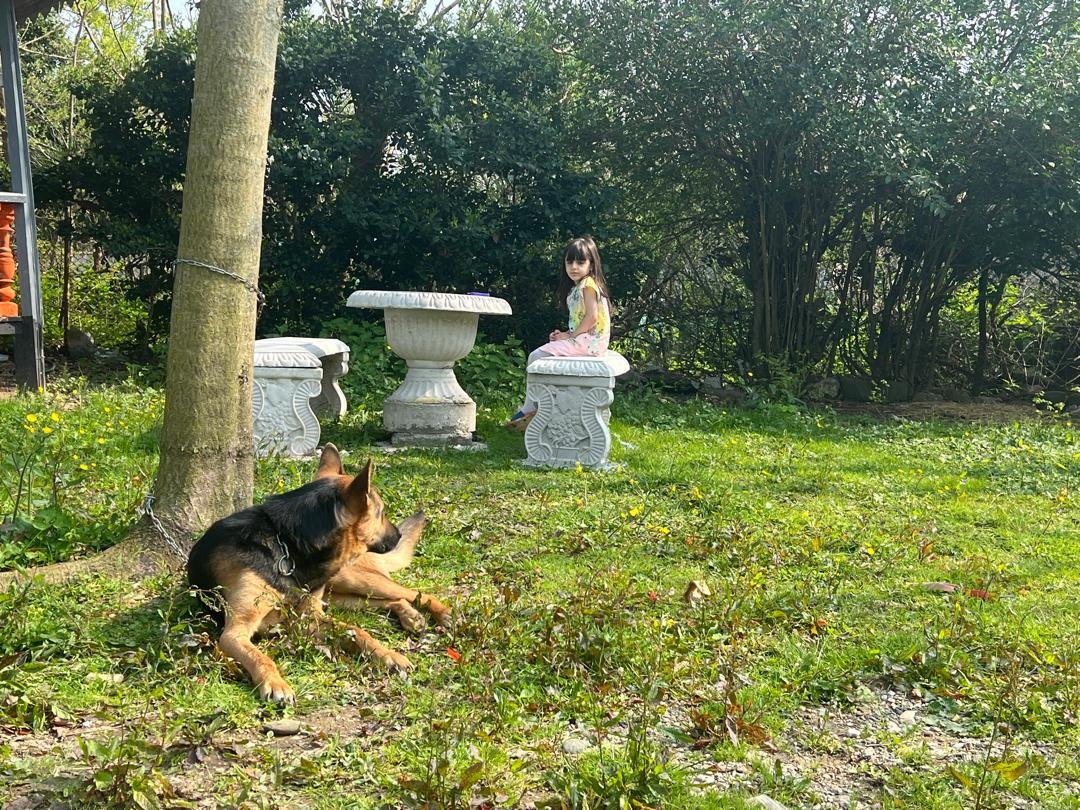 اجاره خانه سنتی شیک درفومن