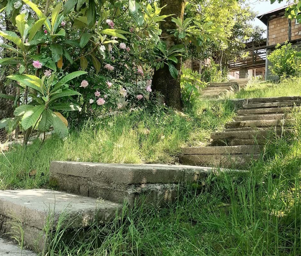 اجاره اقامتگاه بومگردی در نفت چال - لفور