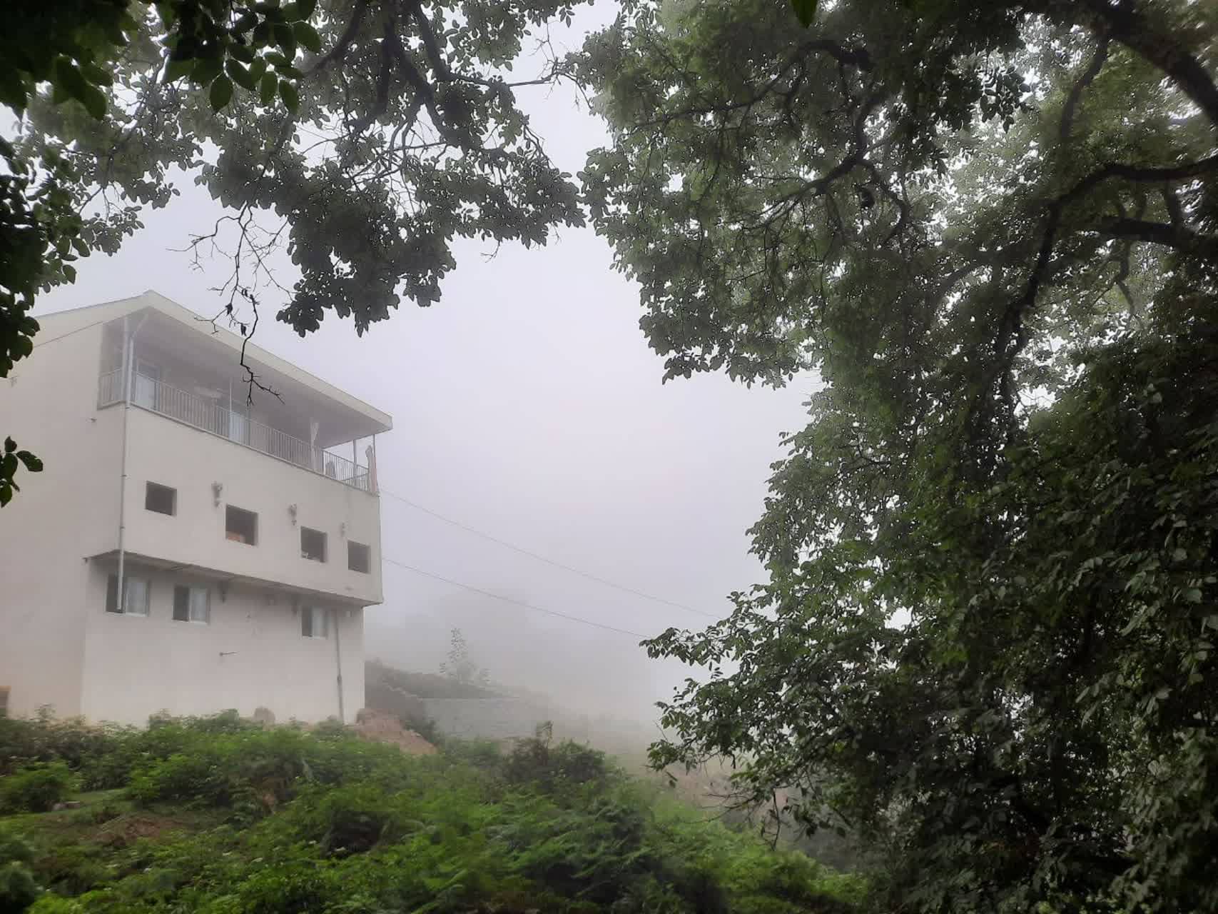 اجاره ویلا جنگلی در تیار چلاو